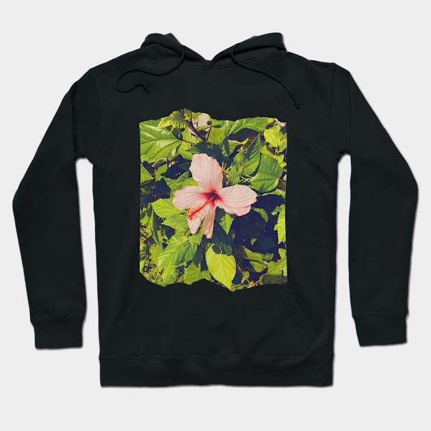 Pretty Pink Flowers Photography design with blue sky nature lovers Hoodie by BoogieCreates